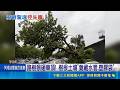 巴威颱風狂風路樹倒砸車！文山區車窗遭刺穿 內湖車主痛批蔣萬安｜三立新聞LIVE