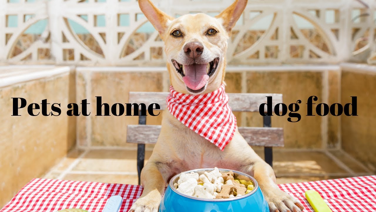 Pets at home dog food how to prepare dogs food easy and quick making dog foods YouTube