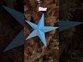 “DIY Crepe Paper Star” 🌟#chrismascraft #star #jeenascraftingcorner #utubeshort