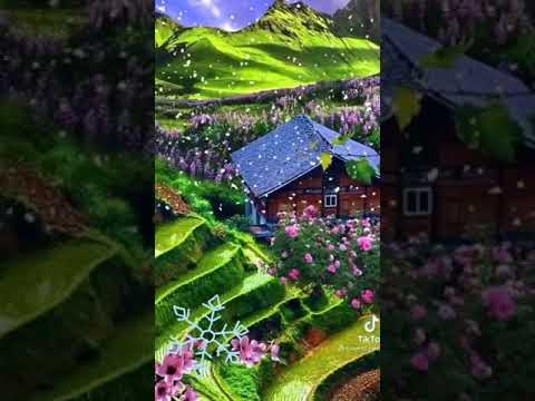 طول ما انت جنبي