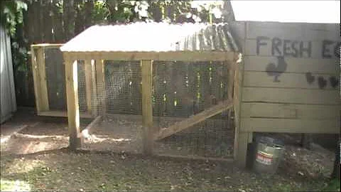 Raising Backyard Chickens