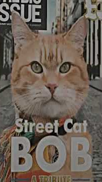 kapten bob kenapa kamu mening galkan kita😭😭😭#ripbob