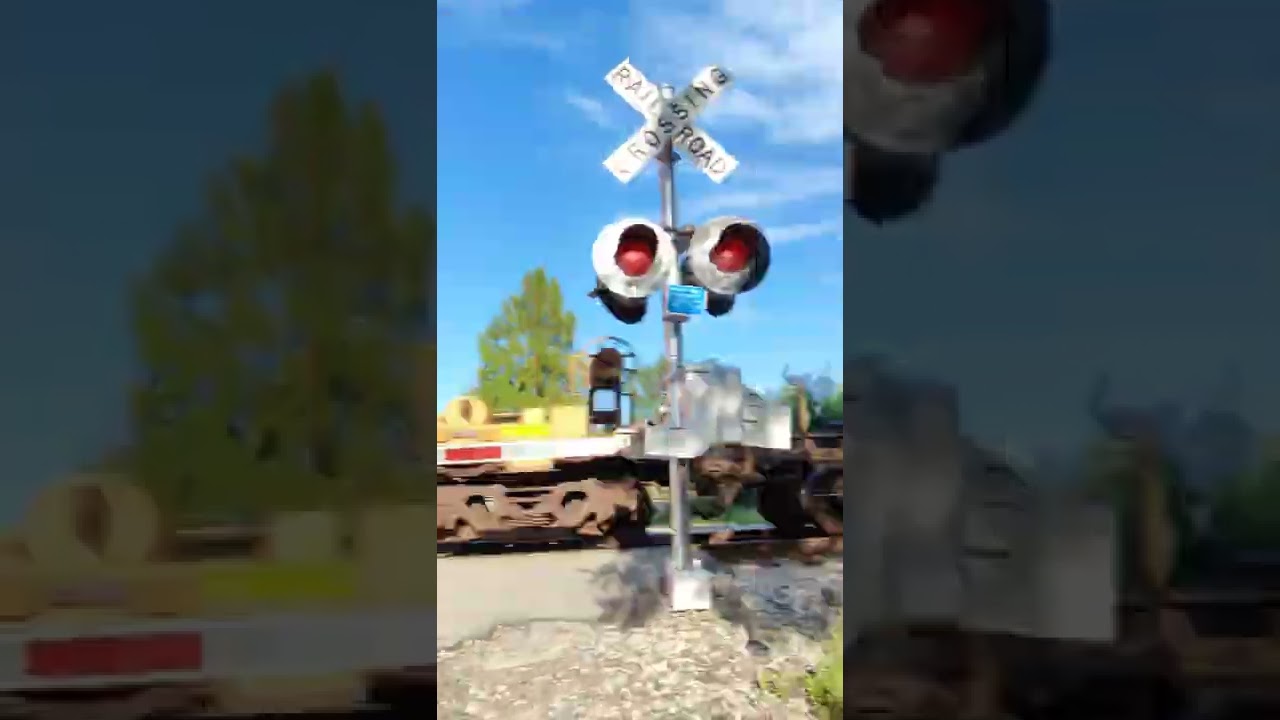 bulk intermodal train cars passin by sunny evening   