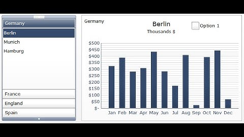 SAP Dashboard Designer (Xcelsius) Session # 8 [Accordion Menu Sample]