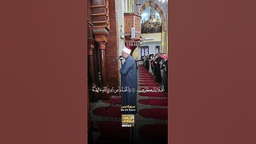 ﴿وَذَلَّلْنَاهَا لَهُمْ فَمِنْهَا رَكُوبُهُمْ وَمِنْهَا يَأْكُلُونَ﴾ من تلاوات المحراب🌿😌#أحمد__نصر