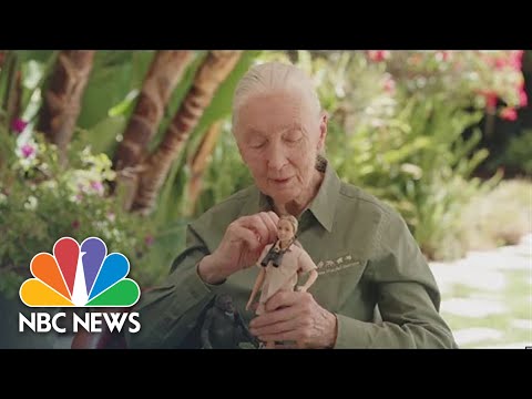 Mattel Unveils Jane Goodall Barbie Doll
