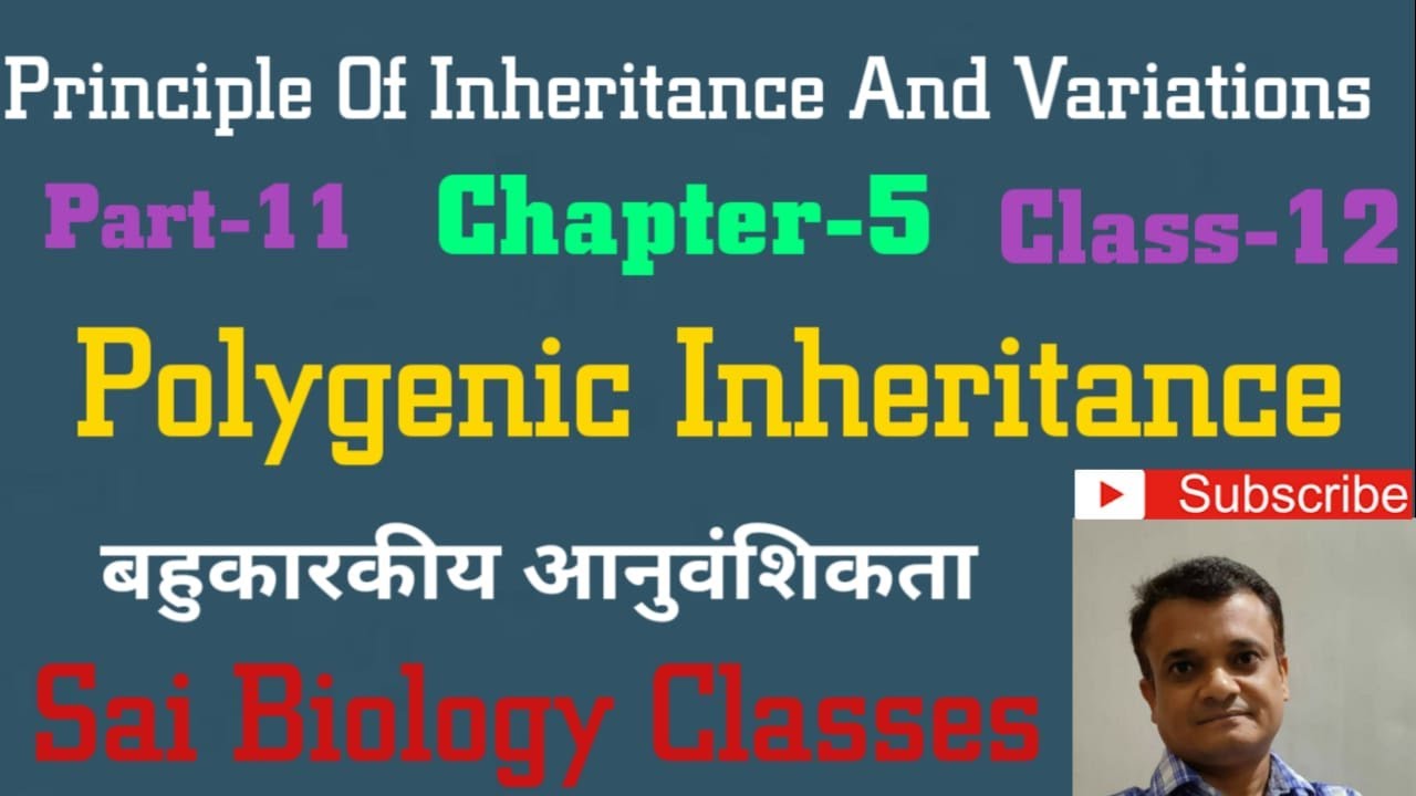 Chapter-5 Class-12 biology ( P-11) Principal of inheritance and variation  Polygenic inheritance