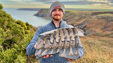 Jurassic Coast Fossil Hunting! Plesiosaur SPINE, Ichthyosaur Jaws and Ammonites!