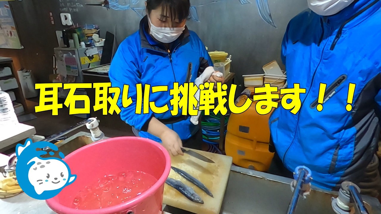 Fish-related] I want to see fish otoliths (*'ω'*) (Ise Sea