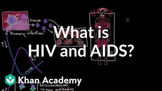 What Is Hiv And Aids? Infectious Diseases Nclex-Rn Khan Academy