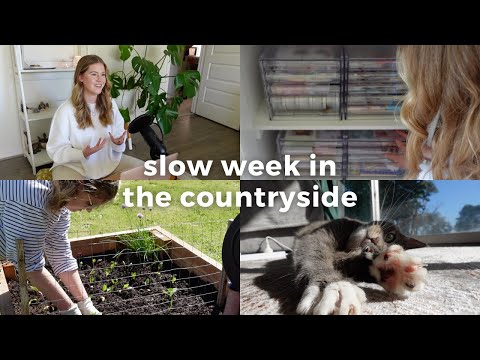 Slow week in the country | Slow living vlog, garden harvest & gentle reset