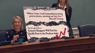 Budzinski Slams SNAP Cuts at House Agriculture Committee Hearing