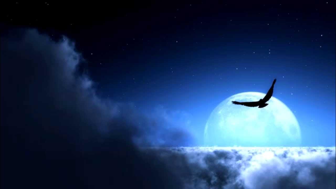 Norman Dück - Moonlight Norman Dück - Moonlight