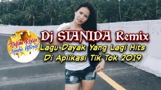 #SpectrumBarsAveePlayer   Dj SIANIDA Remix - Lagu Dayak Yang Lagi Hits Di Aplikasi Tik Tok 2019