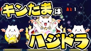 【ハジドラ】たまドラ大量発生が神ダンジョンになった日【パズドラ】