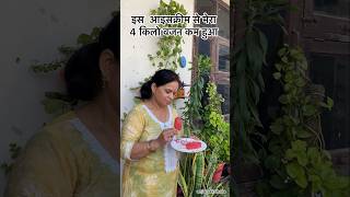 Healthy Watermelon Popsicle | Watermelon icecream | #sugarfreerecipe #ytshorts #summervacation #lol