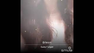 Bi̇lesi̇n Gülay Turgan 