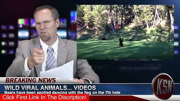 Kid Snippets News: "Viral Animals" (Imagined by Kids)