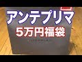 ANTEPRIMA アンテプリマ2019年5万円福袋開封動画