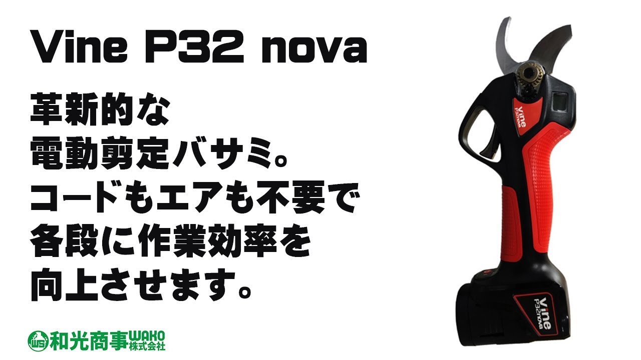 豪華ラッピング無料 WAKO 和光商事 和光 カボチャ ニンニク軸切りに 電動剪定バサミ Vine バイン P25PUMP 長尺カーブ刃モデル 法人  農園様限定