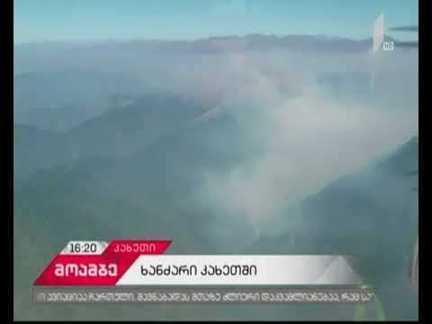 ხანძარს ამ დრომდე ებრძვიან კახეთში - რა განცხადება გაკეთდა საგანგებო შტაბში