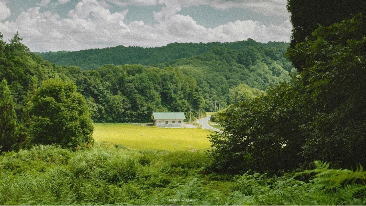 a quiet piano playlist for reading at home