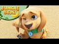Chiot mignon  bon chien  jungle beat munki  trunk  animation pour enfants 2023