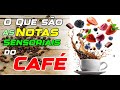 O que são as Notas Sensoriais do Café?