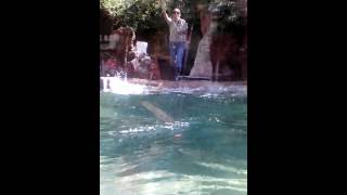 Fort Wayne Zoo Kool To Watch.