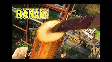 Expert Banana Plant Care Tips: Cut Back, Fruit Production & Rotten Core - Watch Now!