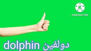 # dolphin#دولفين بالانجليزي