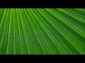 calm music 6 minutes,background music 6 minutes,background music for presentation 6 minutes,relax