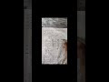 ptet 2026 reasoning pa0er solutions #youtube #ptet2026 #shortsfeed