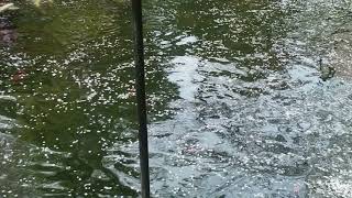 '1 Minute After #2 'La fleuve'' Thumbnail