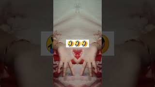 kacok kacok 🤣🤣🤣🤣