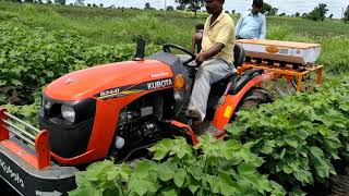 B2441 Neo Star Operation On Cotton Inter Cultivation Pultilizer