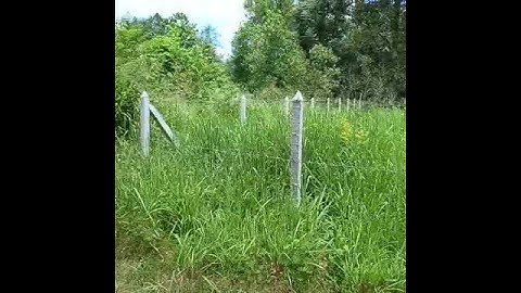 Bán đất 10mx24m đường Bùi Thị Điệt, Củ Chi, TPHCM