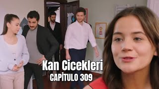 Kan Cicekleri (Flores de Sangre) Capitulo 309 - Dilan anunciará el nombre.