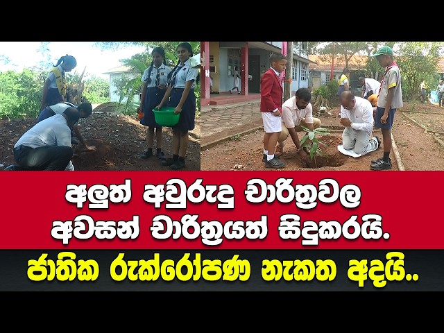 ජාතික රුක්රෝපණ නැකත අදයි..අලුත් අවුරුදු චාරිත්‍රවල අවසන් චාරිත්‍රයත් සිදුකරයි.