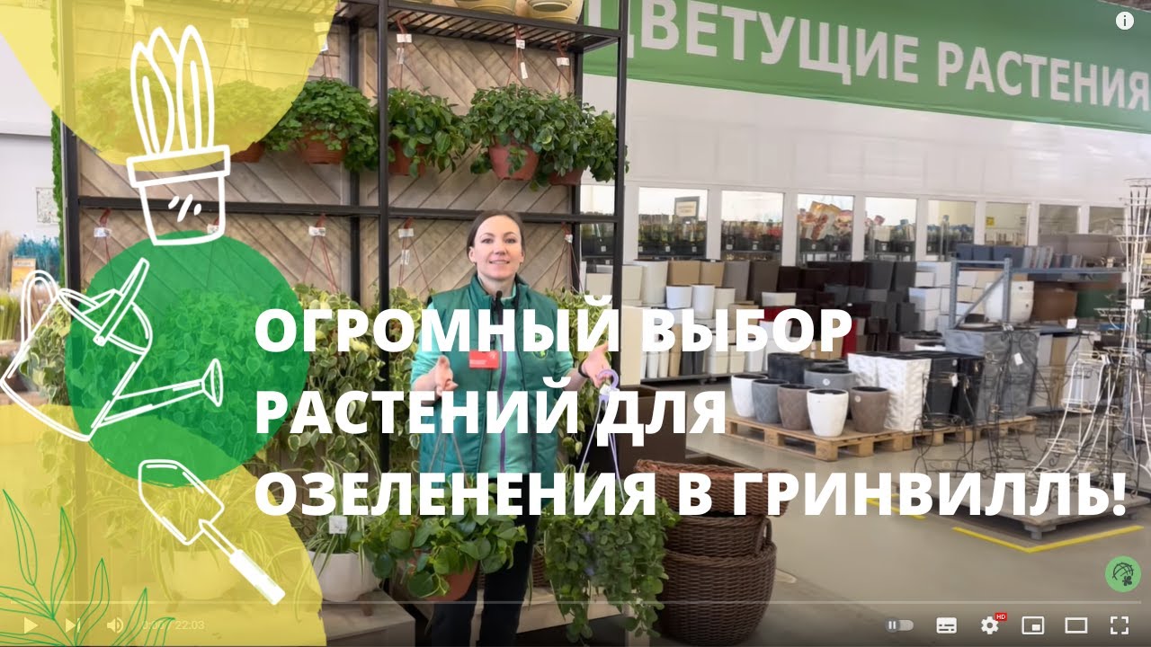 Смотреть видео