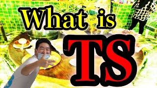 What is TS