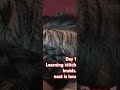 Day 1 of learning how to stitch braid.