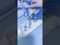 お菓子紹介❕【水色の部屋】