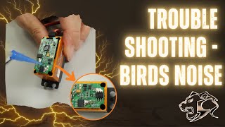 Trouble shooting - birds noise
