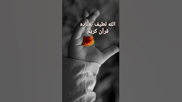 #الله #لطيف بعباده #تلاوة_خاشعة #تلاوات #القرآن_الكريم #قرآن #تلاوة #الشيخ #عبدالباسط_عبدالصمد