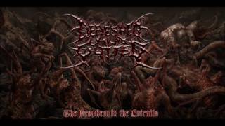 Defleshed and Gutted - The Prophecy in the Entrails [Official Album]