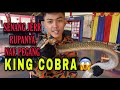 Senang Jer Rupanya Nak Tangkap King Cobra ?? | VLOG 2