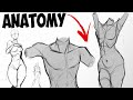 How i draw basic anatomy