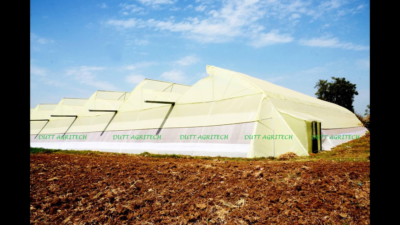 Green House Poly House Net House