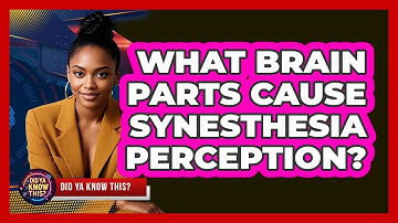 What Brain Parts Cause Synesthesia Perception? - Did Ya Know This